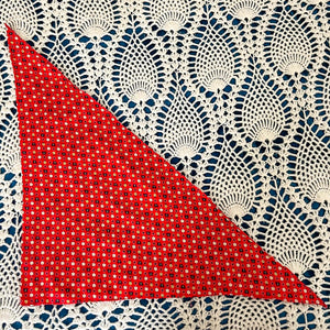 LADYBUG HEAD SCARF